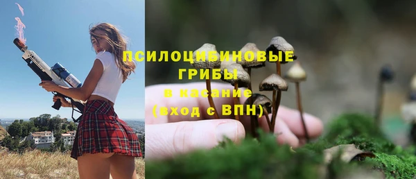 стафф Абдулино