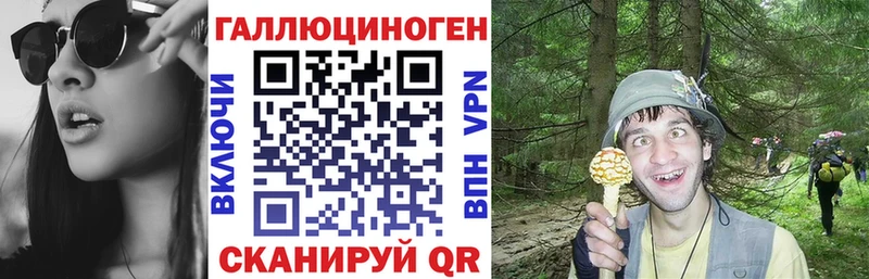 кракен зеркало  Тюкалинск  дарк нет Telegram  Псилоцибиновые грибы MAGIC MUSHROOMS 